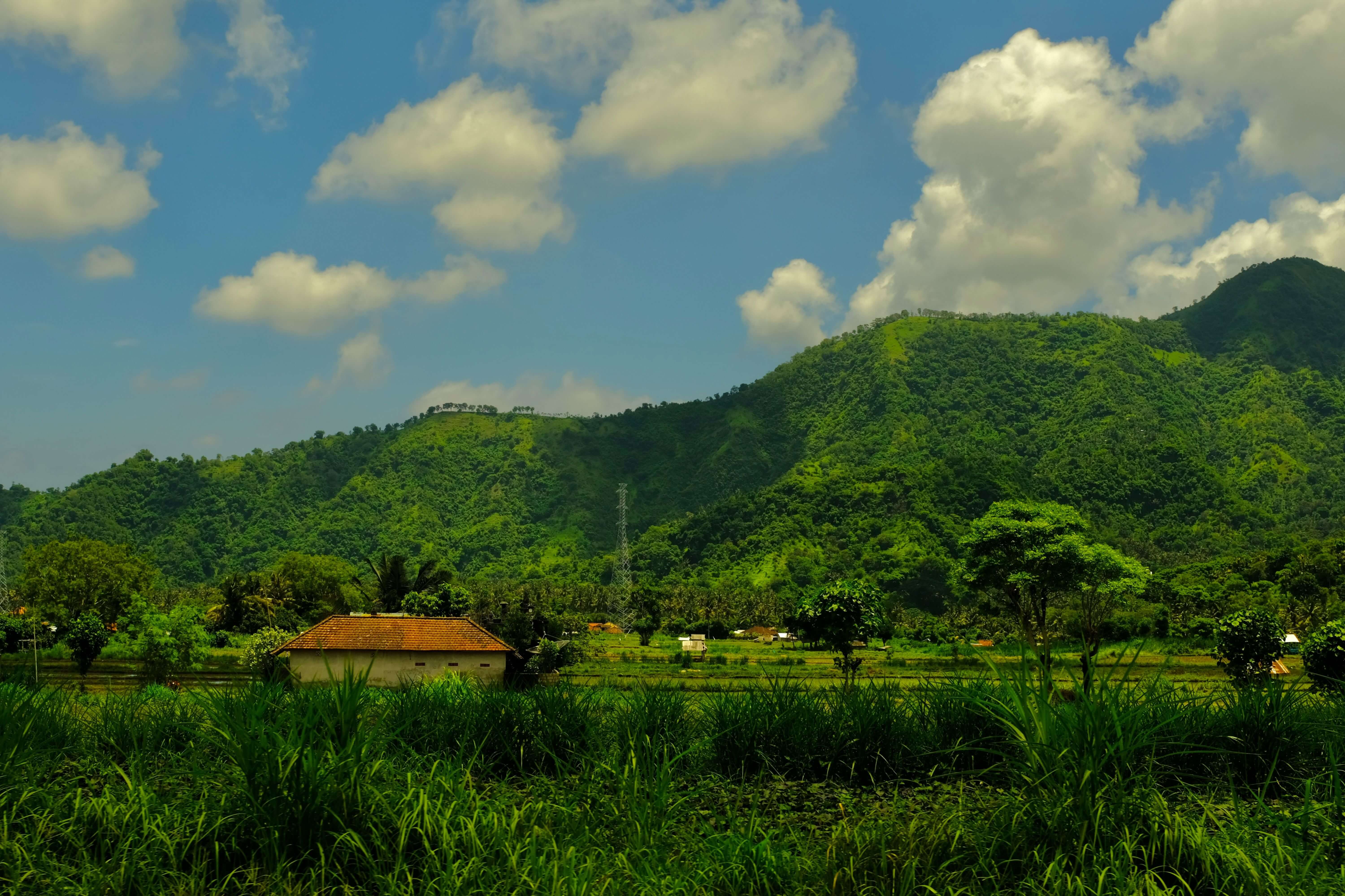 Thailand Image 2